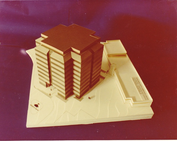 Schematic Development Model