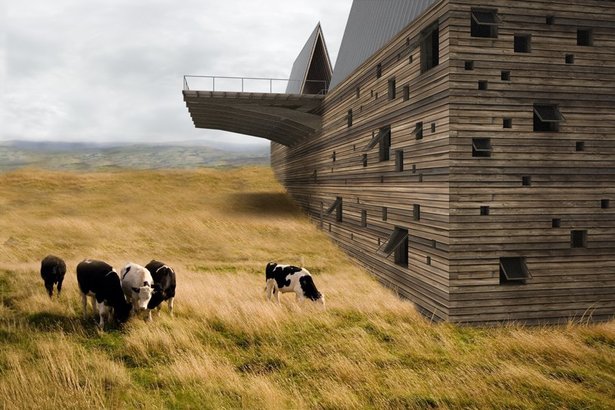 Oblivious cattle grazing