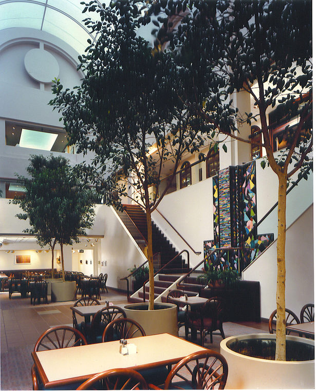 Center courtyard