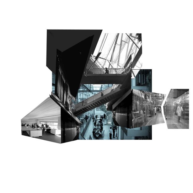 montage of instances 