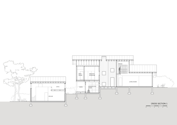 cross section 1