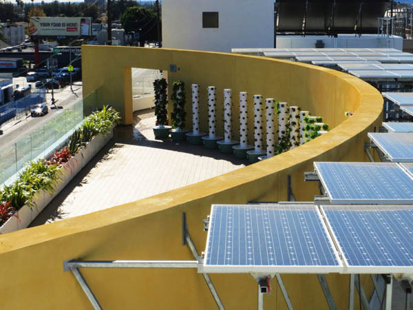 Rooftop Garden with Solar Panels