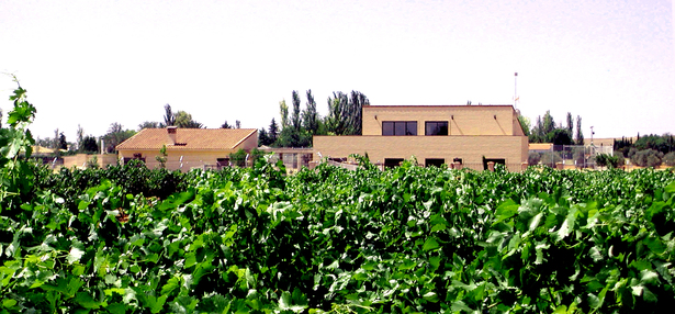 House + Vineyards