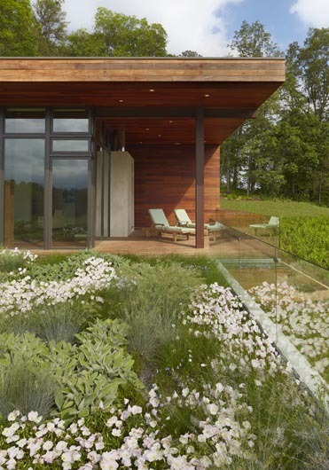 green roof at rear