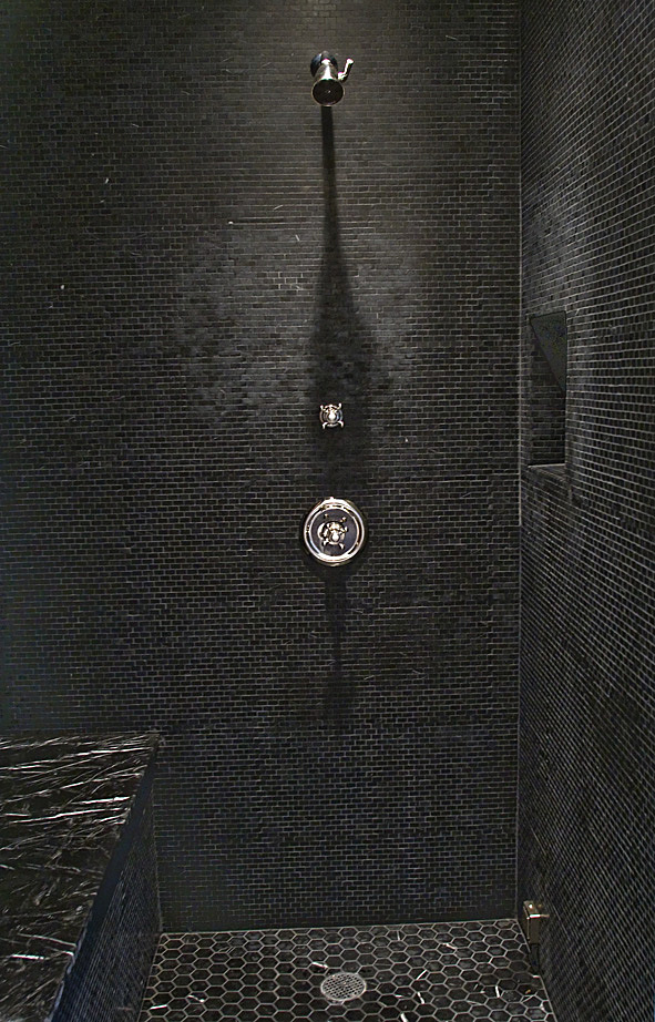 Master Bathroom steam shower