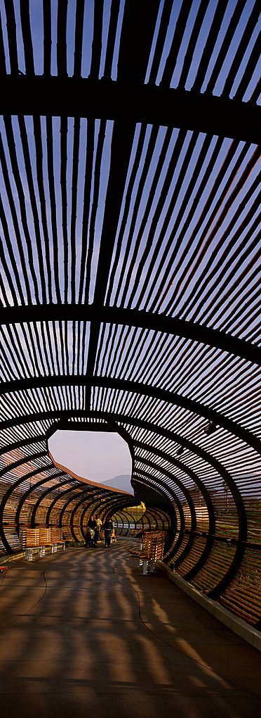 View looking south from within the armature near the north end