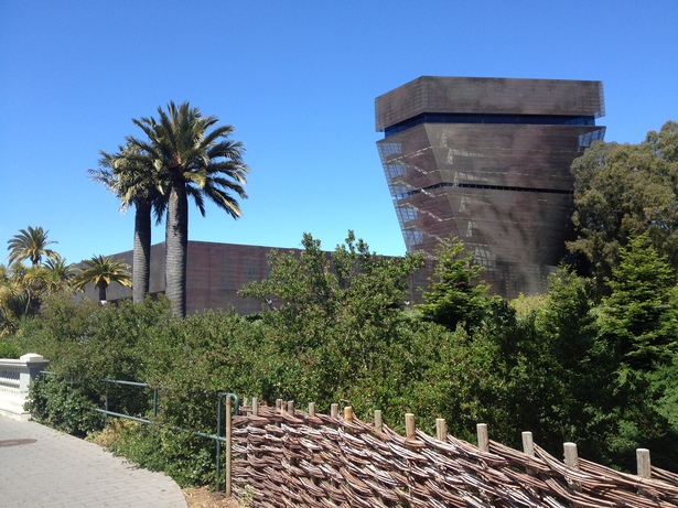 SF de Young