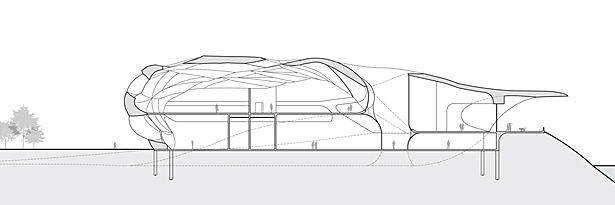 Section