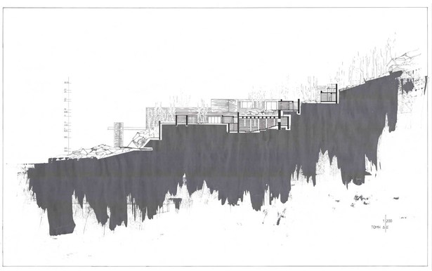 section