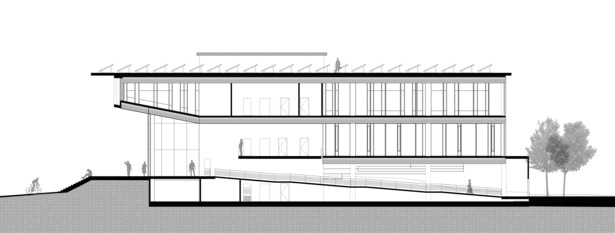 longitudinal section