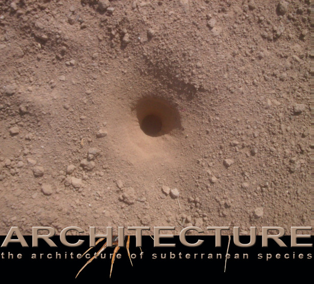 SUBTERRANEAN SPECIES