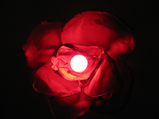 Red ceramic bulb, up view