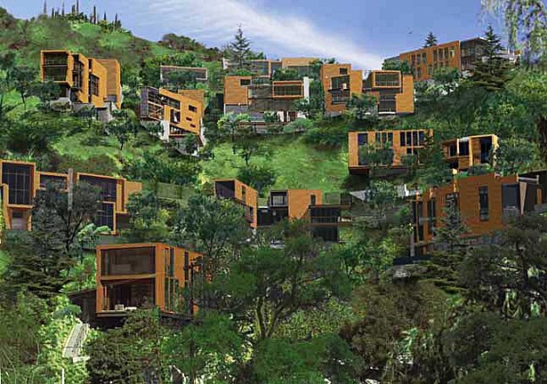 New Leaf Sustainable Development