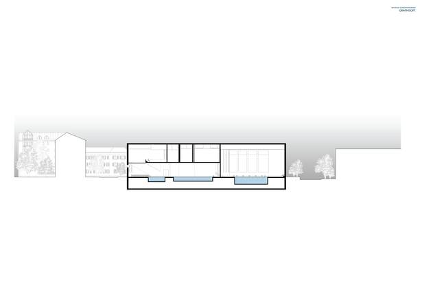 longitudinal section