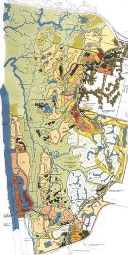 SAWGRASS - Master Plan
