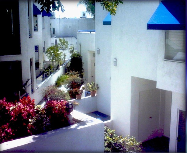 Court Yard