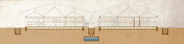 Section 2D