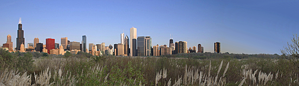 The Richard M Daley Wetlands act as a living machine, filtering Chicago's river water and delivering clean water to the lake. The wetlands also double as a large nature reserve, allowing citizens and tourists to escape the noise and action of the city and retreat to this new urban oasis.