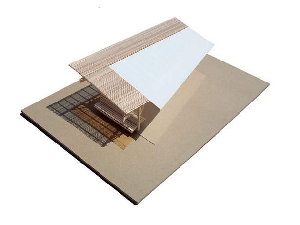 Study Model