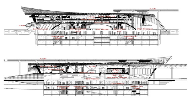 Transverse and Longitudinal Sections