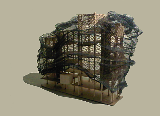Study Model