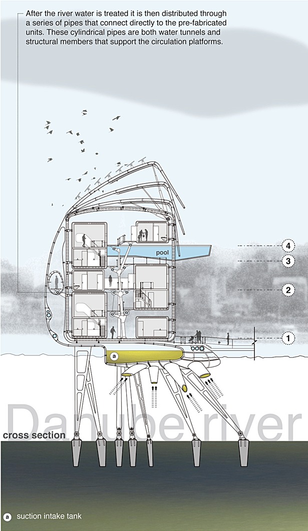 Cross Section. 