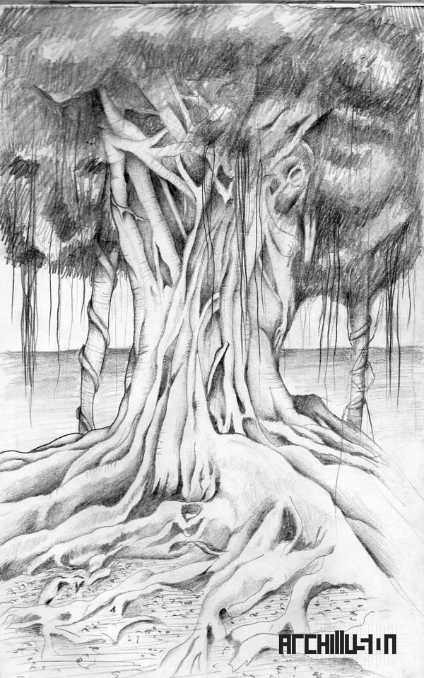 Sketches