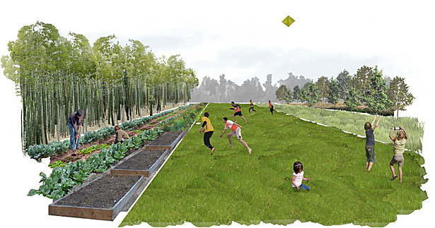 Long Lots Perspective - Community Garden and Recreation Lawn