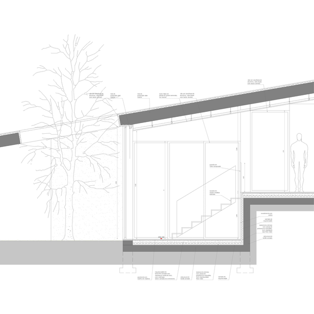 Family House S+N 