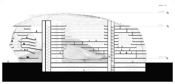Section