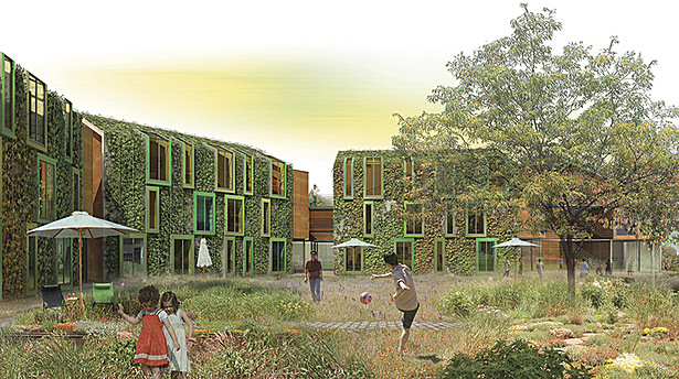 Perspective from communal garden
