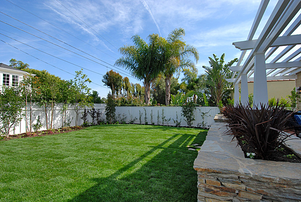 Backyard Deck