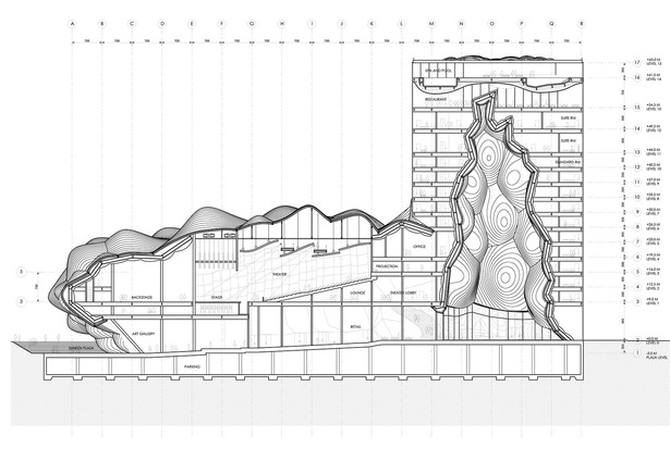 Longitudinal section