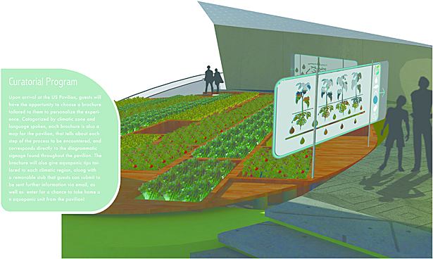 Curatorial diagram