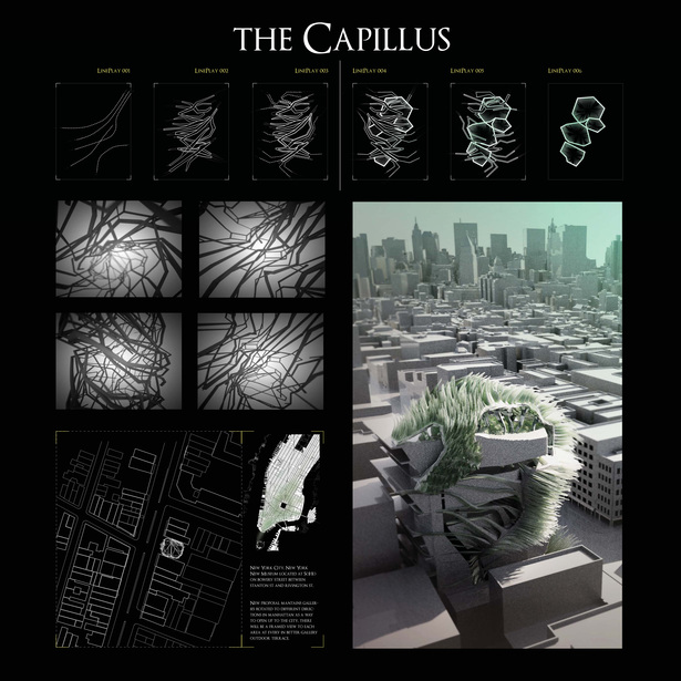 earlier inspirational drawings and concept