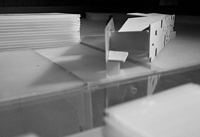 Basswood Model