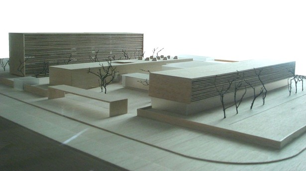 Faculty of Medicine University of Porto