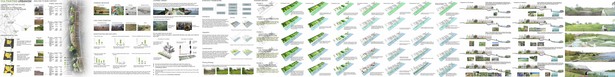 ifla layout