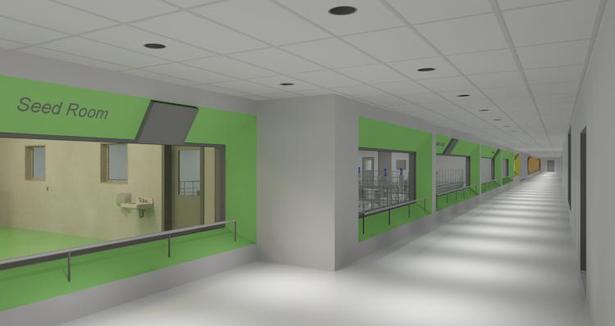 Educational Corridor (Germination, Culture, and Mixing)