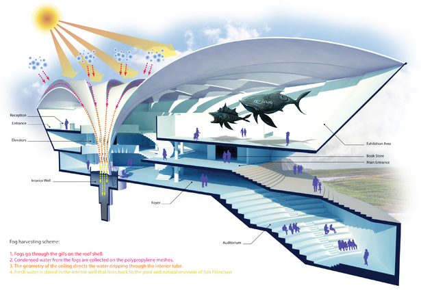 Diagrammatic Section