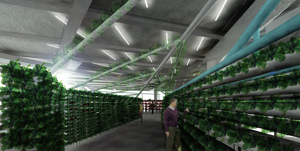 Interior Rendering of Crop Grow Space