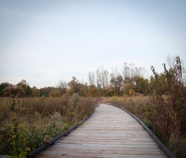 Phase 1 boardwalk section.