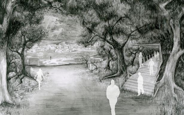 Dense forest in part of the phenomenological route