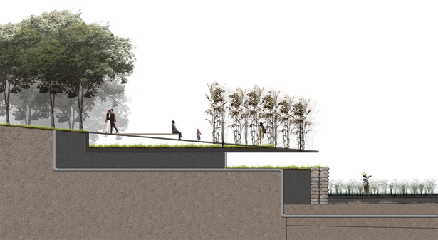 structure and cultivation design