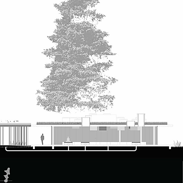 Section