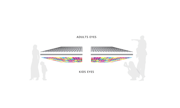 Conceptual Diagram