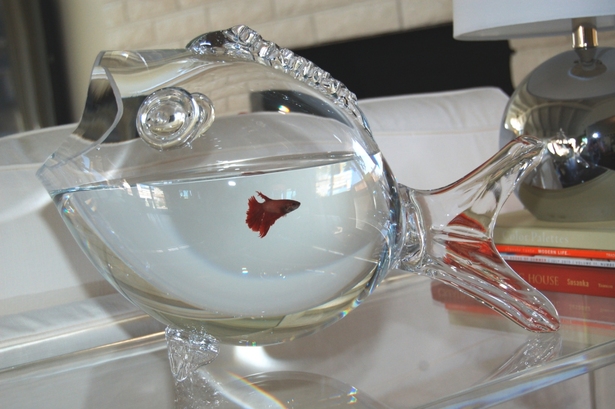 a color-coordinated gift for the owner!