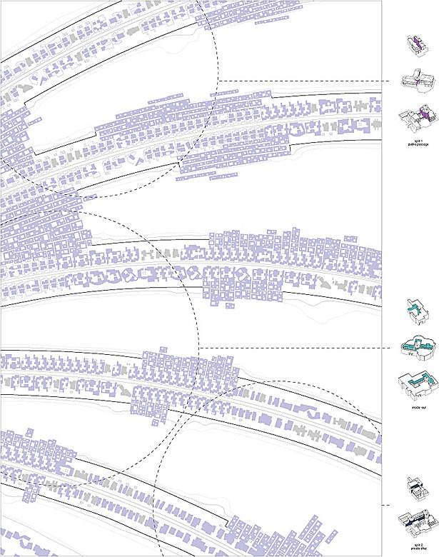 X-Palm - rePLOT distribution