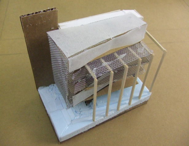 Study model