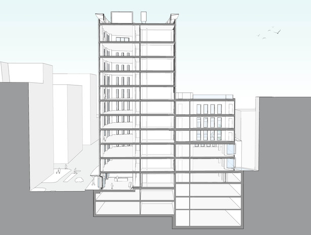 Perspective Section